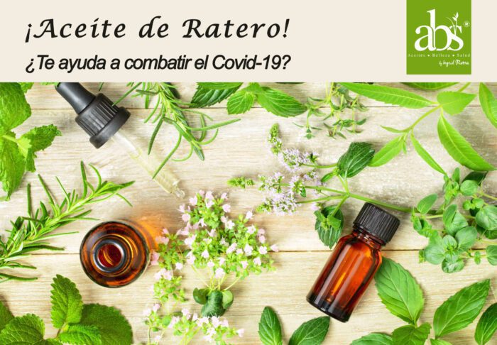 Aceite Ratero ACEITE DE RATERO: Que es y para que sirve. Conoce sus beneficios para ...